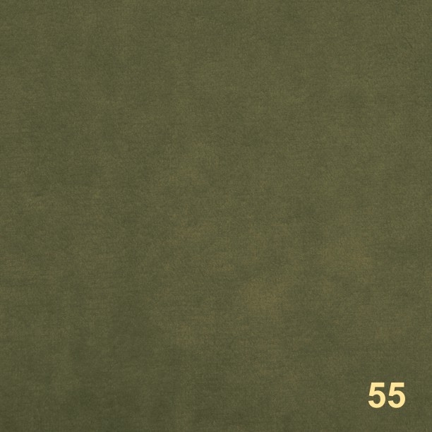 ПАССАТ 55 ПАССАТ 55