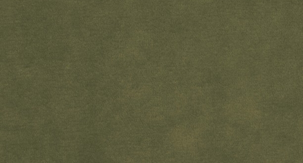 ПАССАТ 55 ПАССАТ 55