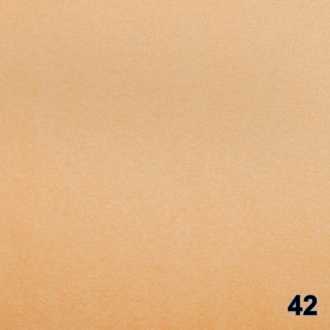 ПАССАТ 42 ПАССАТ 42